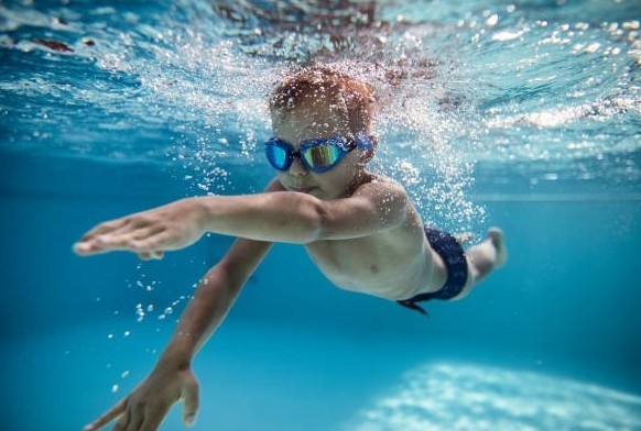 istockphoto-1081891908-612x612 (1)